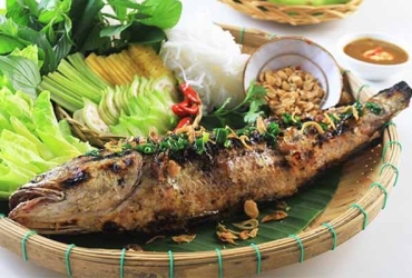 Cá Lóc Thường - Lóc Đồng 